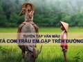Văn mẫu Tả con trâu em gặp trên đường