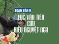 Soạn bài Lục Vân Tiên cứu Kiều Nguyệt Nga