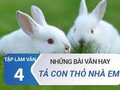 Văn mẫu Tả con thỏ nhà em  - Tập làm văn lớp 4