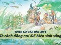Tả cánh đồng nơi Dế Mèn sinh sống