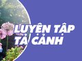 Luyện tập tả cảnh