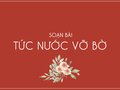 Soạn bài Tức nước vỡ bờ (Ngô Tất Tố)