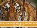 Phân tích 2 khổ thơ đầu bài Nhớ Rừng của Thế Lữ