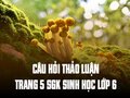Câu hỏi thảo luận trang 5 SGK Sinh học lớp 6