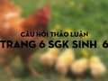 Câu hỏi thảo luận trang 6 SGK Sinh học  6