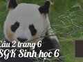 Câu 2 trang 6 SGK sinh học 6
