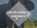Câu hỏi thảo luận trang 7 SGK Sinh 6