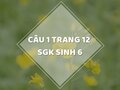 Câu 1 trang 12 SGK Sinh học 6