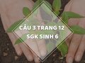 Câu 3 trang 12 SGK Sinh học 6