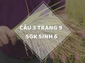  Câu 3 trang 9 SGK Sinh học 6