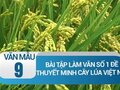 Viết bài tập làm văn số 1 lớp 9 đề 1
