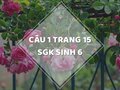 Câu 1 trang 15 SGK Sinh học 6