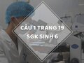 Câu 1 trang 19 SGK Sinh học 6