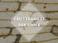 Câu 1 trang 22 SGK Sinh học 6