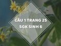 Câu 1 trang 25 SGK Sinh học 6