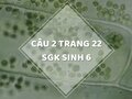 Câu 2 trang 22 SGK Sinh học 6