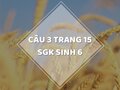 Câu 3 trang 15 SGK Sinh học 6