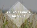 Câu hỏi thảo luận trang 13 SGK Sinh 6