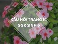 Câu hỏi thảo luận trang 14 SGK Sinh 6