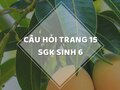Câu hỏi thảo luận trang 15 SGK Sinh 6