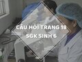 Câu hỏi thảo luận trang 18 SGK Sinh 6