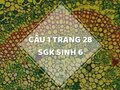 Câu 1 trang 28 SGK Sinh học 6