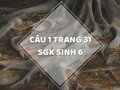 Câu 1 trang 31 SGK Sinh học 6