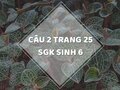 Câu 2 trang 25 SGK Sinh học 6