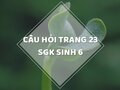 Câu hỏi thảo luận trang 23 SGK Sinh 6
