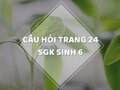 Câu hỏi thảo luận trang 24 SGK Sinh 6