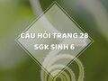 Câu hỏi thảo luận trang 28 SGK Sinh 6