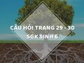 Trả lời câu hỏi trang 29 - 30 SGK Sinh học lớp 6