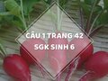 Câu 1 trang 42 SGK Sinh học 6