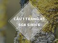 Câu 1 trang 45 SGK Sinh học 6