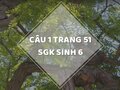 Câu 1 trang 51 SGK Sinh học 6