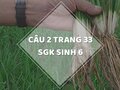 Câu 2 trang 33 SGK Sinh học 6