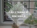 Câu 2 trang 37 SGK Sinh học 6