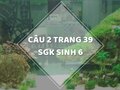 Câu 2 trang 39 SGK Sinh học 6