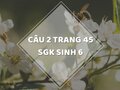 Câu 2 trang 45 SGK Sinh học 6