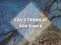 Câu 2 trang 47 SGK Sinh học 6