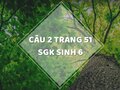Câu 2 trang 51 SGK Sinh học 6