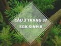 Câu 3 trang 37 SGK Sinh học 6