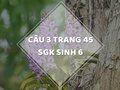 Câu 3 trang 45 SGK Sinh học 6