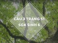 Câu 3 trang 51 SGK Sinh học 6