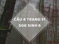 Câu 4 trang 51 SGK Sinh học 6