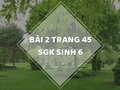 Bài 2 trang 45 sgk Sinh học 6