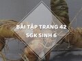 Bài tập trang 42 sgk Sinh học 6