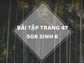 Giải bài tập trang 47 sgk sinh học 6
