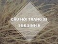 Câu hỏi thảo luận trang 33 SGK Sinh 6