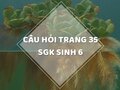 Câu hỏi thảo luận trang 35 SGK Sinh 6